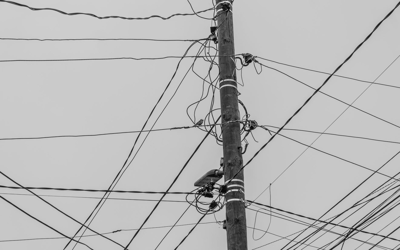 A utility pole carrying new aerial fibre strand at rooftop height on a residential street in plain daylight