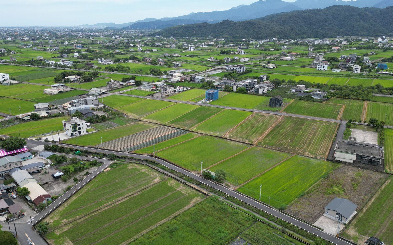Aerial view of green rice fields dotted with houses, roads and distant mountains