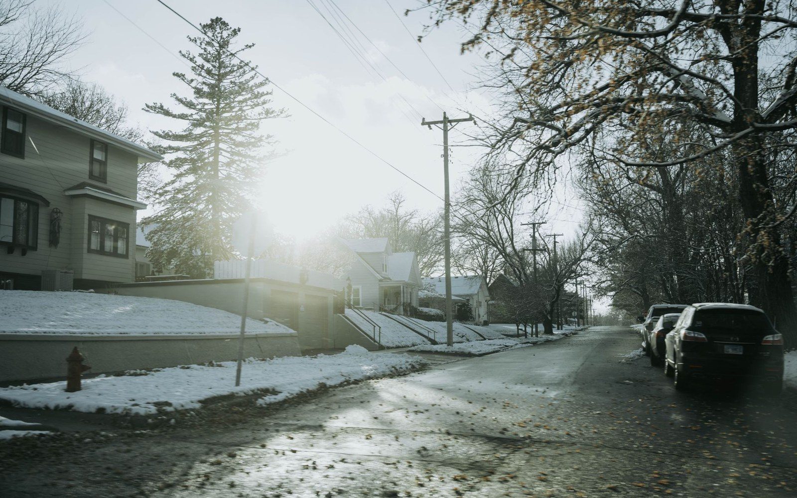 Sunlight breaks through bare trees over a quiet residential street with patchy snow